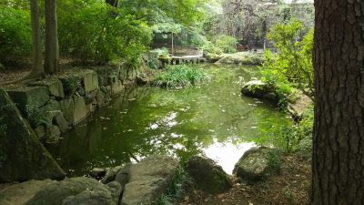 浴恩館池