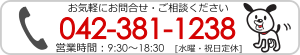 CyɂkE⍇BTEL:042-381-1238